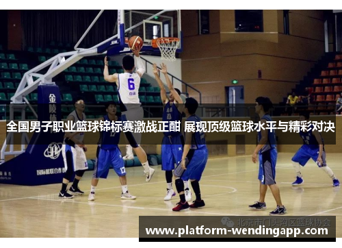 全国男子职业篮球锦标赛激战正酣 展现顶级篮球水平与精彩对决
