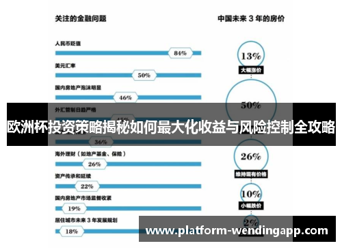 欧洲杯投资策略揭秘如何最大化收益与风险控制全攻略