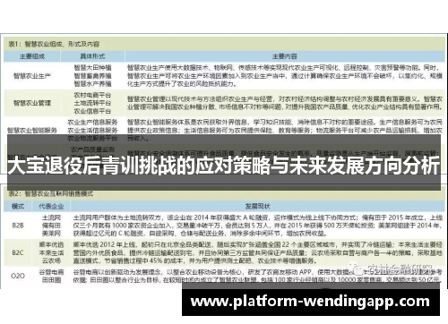 大宝退役后青训挑战的应对策略与未来发展方向分析