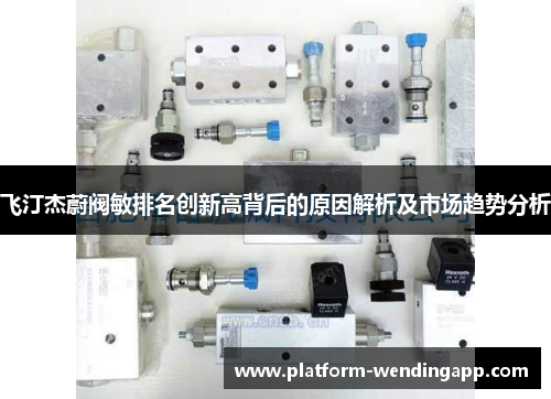 飞汀杰蔚阀敏排名创新高背后的原因解析及市场趋势分析
