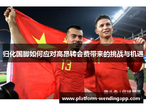 归化国脚如何应对高昂转会费带来的挑战与机遇