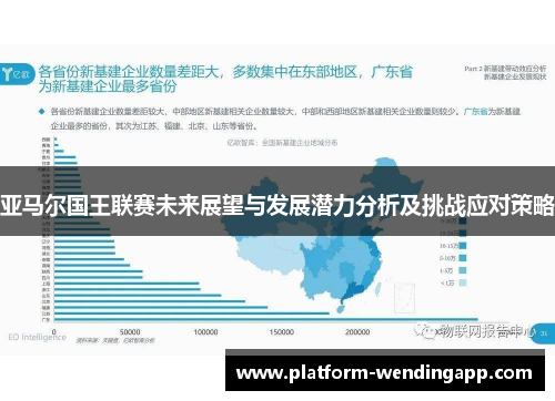 亚马尔国王联赛未来展望与发展潜力分析及挑战应对策略