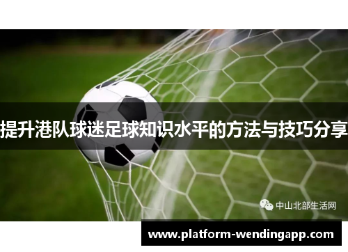 提升港队球迷足球知识水平的方法与技巧分享