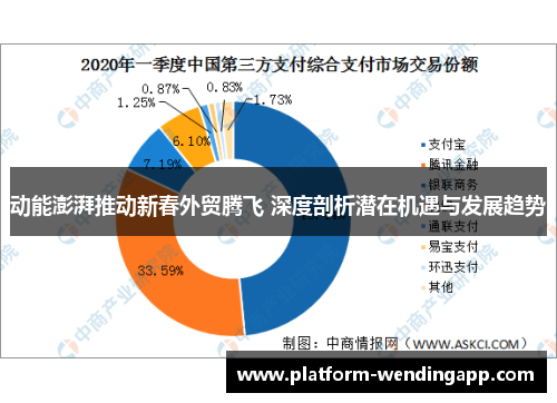 动能澎湃推动新春外贸腾飞 深度剖析潜在机遇与发展趋势