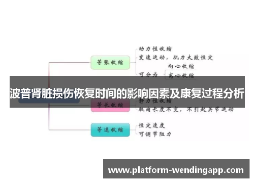 波普肾脏损伤恢复时间的影响因素及康复过程分析