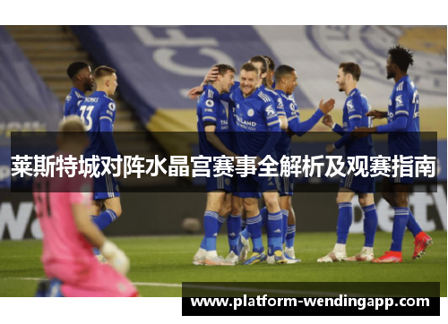莱斯特城对阵水晶宫赛事全解析及观赛指南