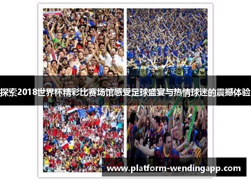 探索2018世界杯精彩比赛场馆感受足球盛宴与热情球迷的震撼体验