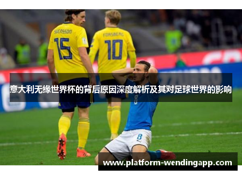 意大利无缘世界杯的背后原因深度解析及其对足球世界的影响