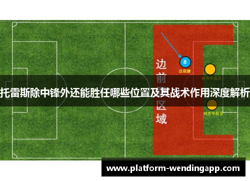托雷斯除中锋外还能胜任哪些位置及其战术作用深度解析