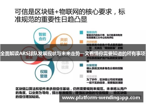 全面解读ARS球队发展现状与未来走势一文看懂你需要知道的所有事项