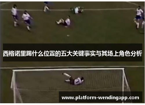 西格诺里踢什么位置的五大关键事实与其场上角色分析