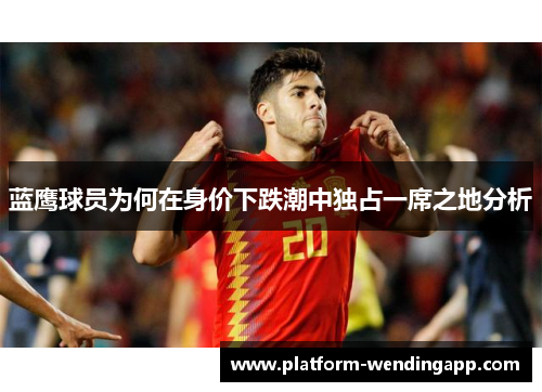 蓝鹰球员为何在身价下跌潮中独占一席之地分析