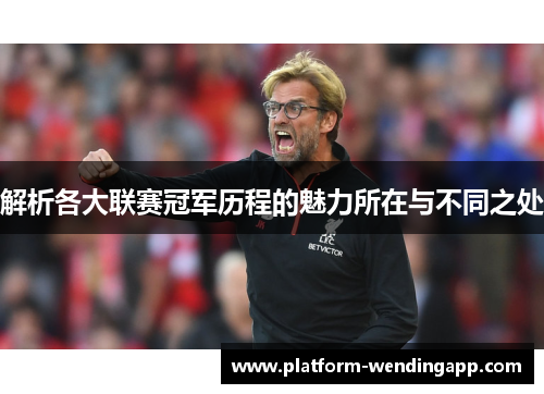 解析各大联赛冠军历程的魅力所在与不同之处