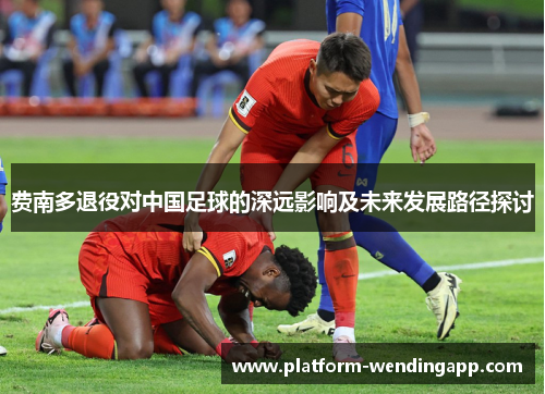 费南多退役对中国足球的深远影响及未来发展路径探讨