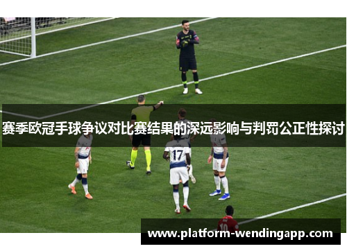 赛季欧冠手球争议对比赛结果的深远影响与判罚公正性探讨