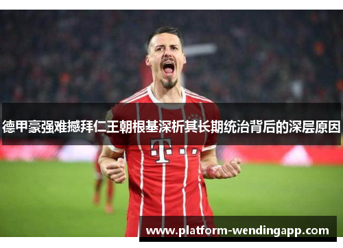 德甲豪强难撼拜仁王朝根基深析其长期统治背后的深层原因