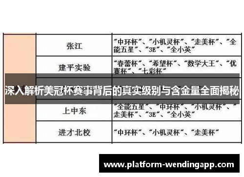 深入解析美冠杯赛事背后的真实级别与含金量全面揭秘
