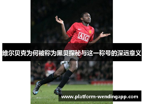 维尔贝克为何被称为黑贝探秘与这一称号的深远意义