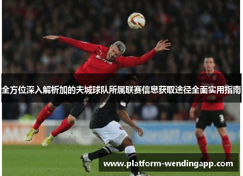 全方位深入解析加的夫城球队所属联赛信息获取途径全面实用指南 全方位深入解析加的夫城球队所属联赛信息获取途径全面实用指南