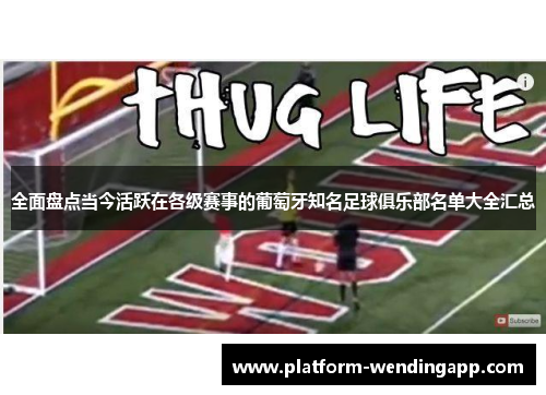 全面盘点当今活跃在各级赛事的葡萄牙知名足球俱乐部名单大全汇总