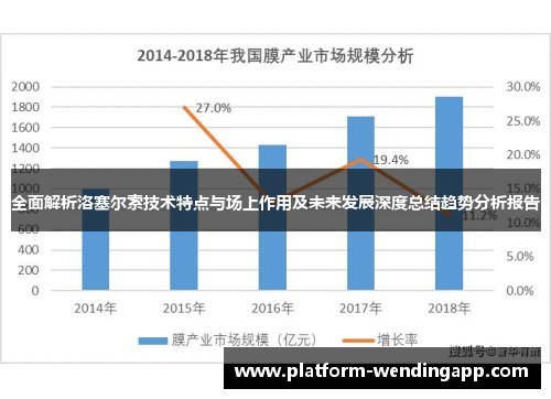 全面解析洛塞尔索技术特点与场上作用及未来发展深度总结趋势分析报告