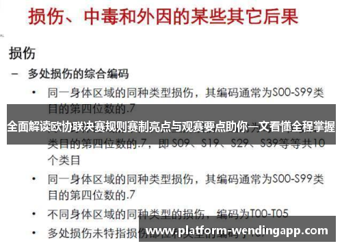 全面解读欧协联决赛规则赛制亮点与观赛要点助你一文看懂全程掌握