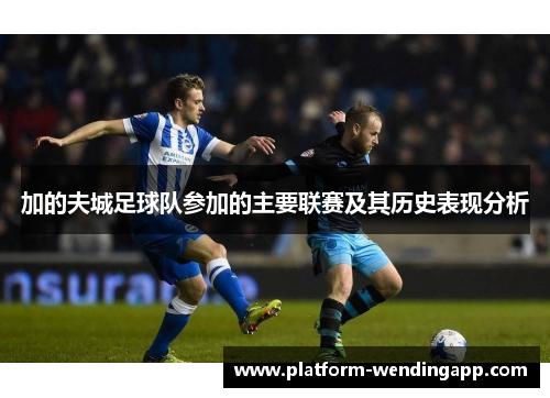 加的夫城足球队参加的主要联赛及其历史表现分析