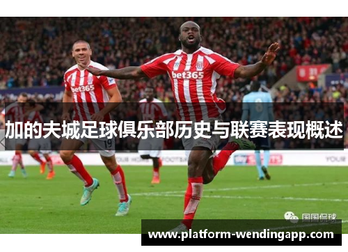 加的夫城足球俱乐部历史与联赛表现概述