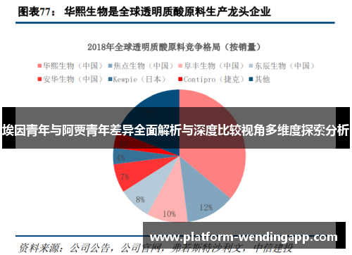 埃因青年与阿贾青年差异全面解析与深度比较视角多维度探索分析