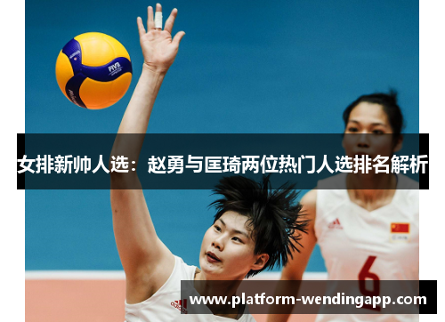 女排新帅人选：赵勇与匡琦两位热门人选排名解析