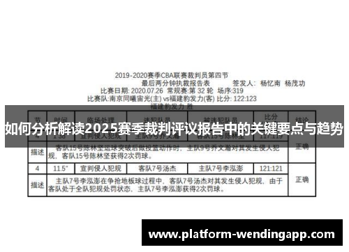 如何分析解读2025赛季裁判评议报告中的关键要点与趋势