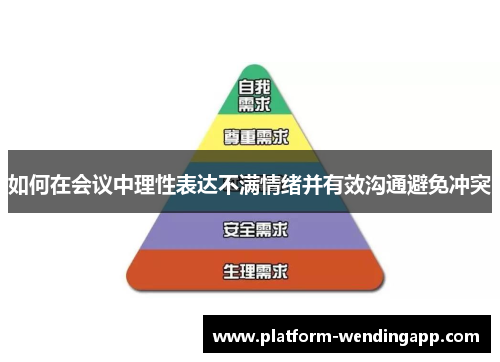 如何在会议中理性表达不满情绪并有效沟通避免冲突