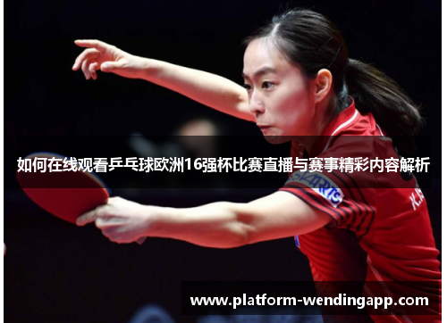 如何在线观看乒乓球欧洲16强杯比赛直播与赛事精彩内容解析