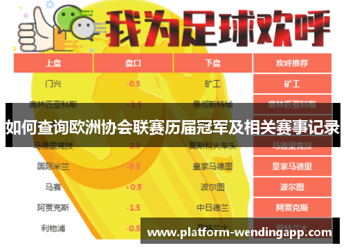 如何查询欧洲协会联赛历届冠军及相关赛事记录