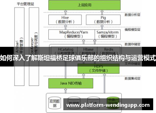 如何深入了解斯坦福桥足球俱乐部的组织结构与运营模式