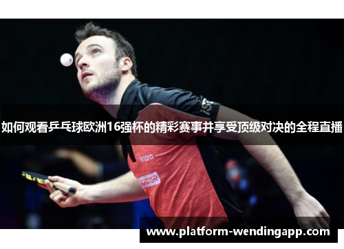 如何观看乒乓球欧洲16强杯的精彩赛事并享受顶级对决的全程直播