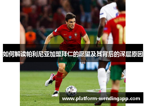 如何解读帕利尼亚加盟拜仁的愿望及其背后的深层原因 如何解读帕利尼亚加盟拜仁的愿望及其背后的深层原因