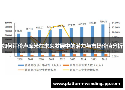 如何评价卢库米在未来发展中的潜力与市场价值分析