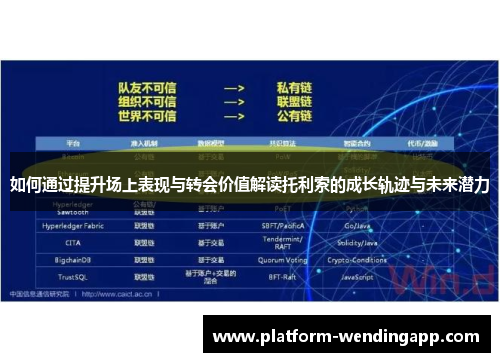 如何通过提升场上表现与转会价值解读托利索的成长轨迹与未来潜力