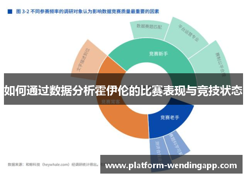 如何通过数据分析霍伊伦的比赛表现与竞技状态 如何通过数据分析霍伊伦的比赛表现与竞技状态