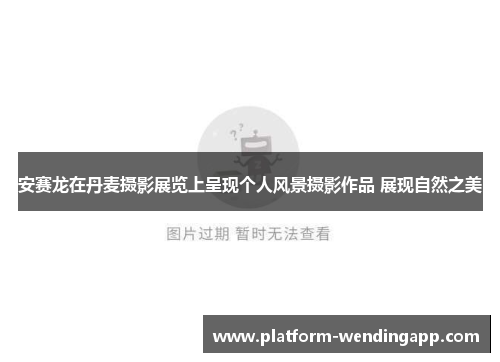 安赛龙在丹麦摄影展览上呈现个人风景摄影作品 展现自然之美