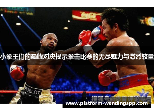 小拳王们的巅峰对决揭示拳击比赛的无尽魅力与激烈较量