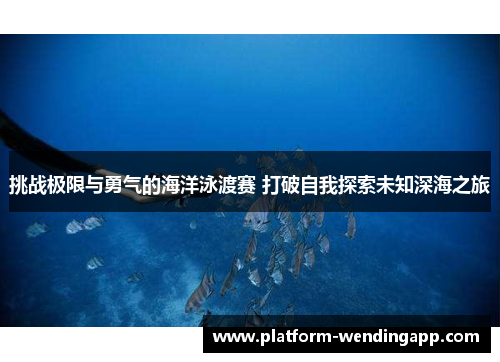 挑战极限与勇气的海洋泳渡赛 打破自我探索未知深海之旅