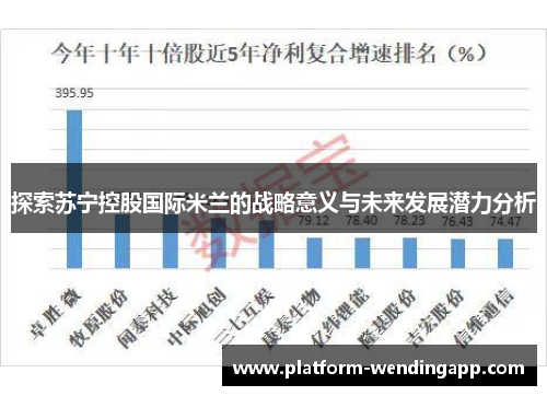 探索苏宁控股国际米兰的战略意义与未来发展潜力分析 探索苏宁控股国际米兰的战略意义与未来发展潜力分析